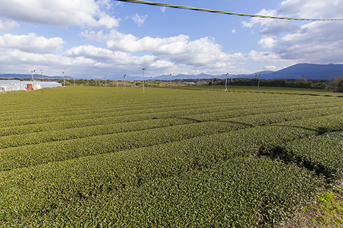 熊本県球磨郡の豊かな自然